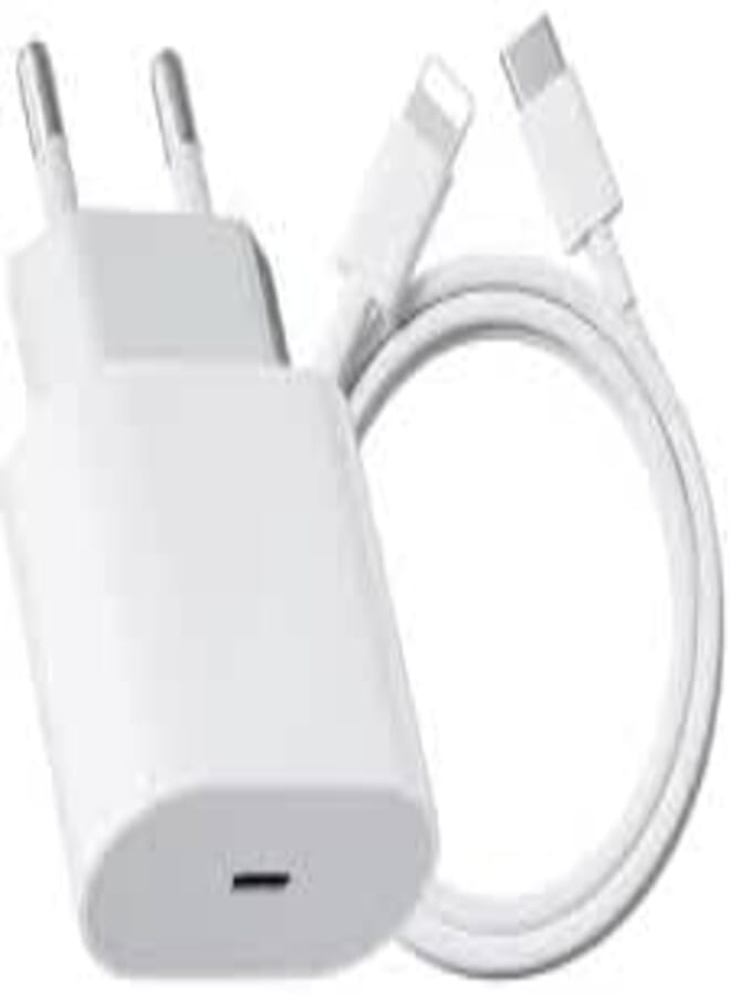 Dual Charger (25) - Watts USB C with C to L Cable